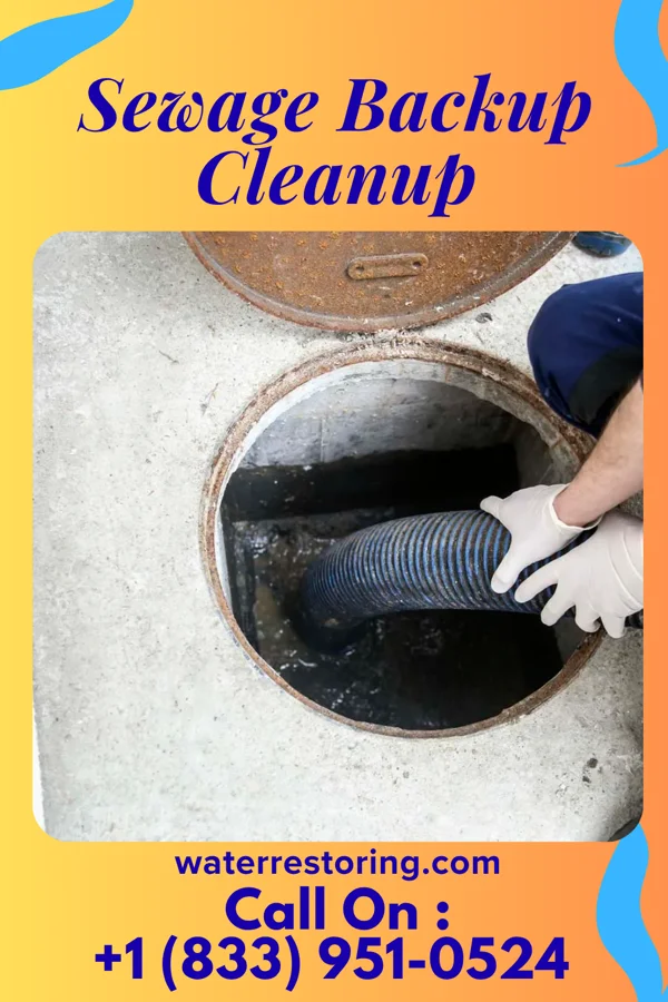 Sewage Backup Cleanup in JAARS, NC